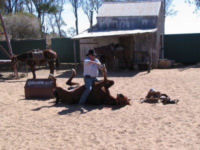 Lochie does his horse' hooves
