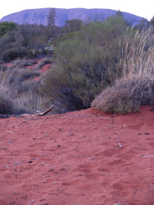 Early winter sunrise over Uluru